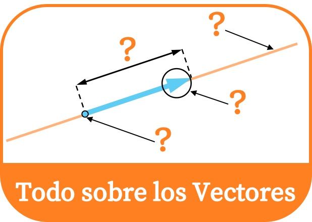 ¿qué son los vectores?